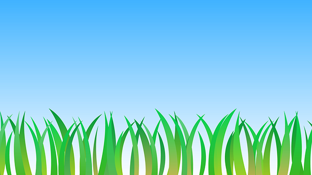 Grass | Blue Sky-Background / Photos / Wallpapers / Desktop Pictures / Free Backgrounds-Full HD Size: 1,920 x 1,080 pixels