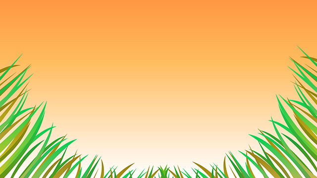 Grass | Dusk-Background / Photos / Wallpapers / Desktop Pictures / Free Backgrounds-Full HD Size: 1,920 x 1,080 pixels