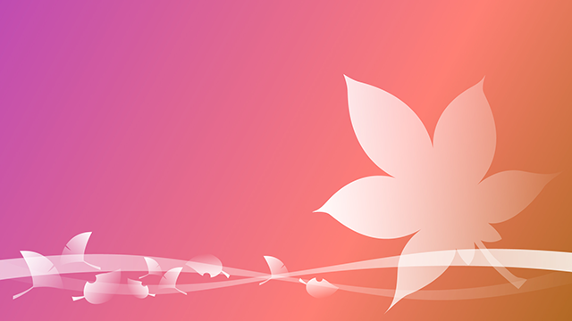 Sakura pattern ｜ Gradient --Background / Photo / Wallpaper / Desktop picture / Free background --Full HD size: 1,920 × 1,080 pixels