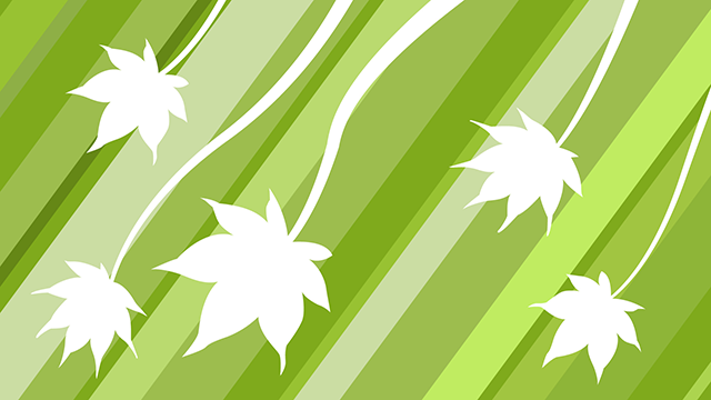 Green | Sakura | Pattern --Background / Photo / Wallpaper / Desktop picture / Free background --Full HD size: 1,920 x 1,080 pixels