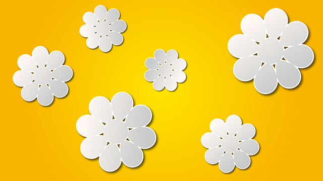 Yellow ｜ Petals ｜ Pattern --Background / Photo / Wallpaper / Desktop picture / Free background --Full HD size: 1,920 × 1,080 pixels
