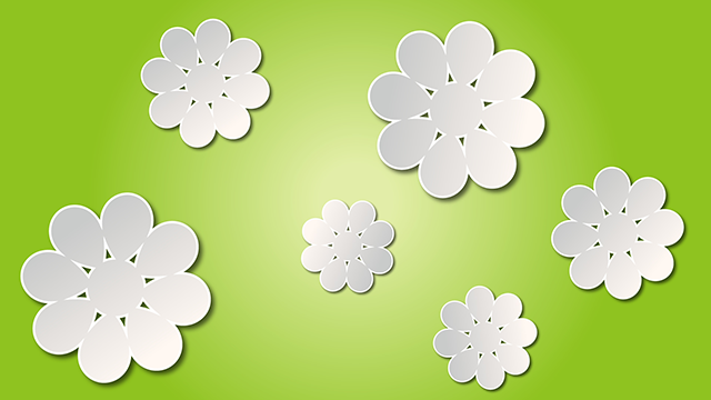 Green ｜ Petals ｜ Pattern --Background / Photo / Wallpaper / Desktop picture / Free background --Full HD size: 1,920 × 1,080 pixels