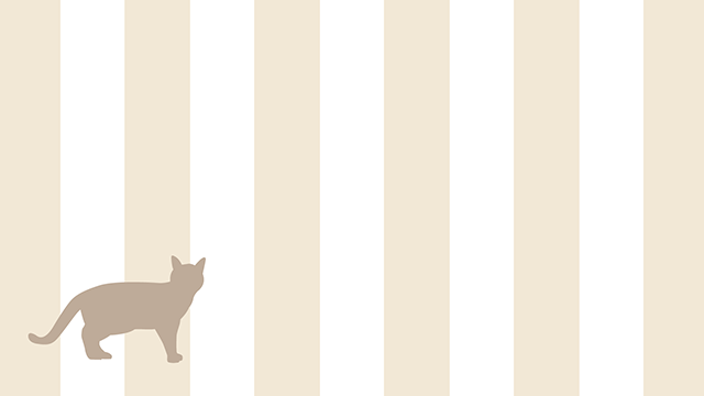 Cat | Vertical Line-Background / Photo / Wallpaper / Desktop Picture / Free Background-Full HD Size: 1,920 x 1,080 pixels