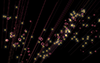 赤系｜閃光 - バックグラウンド｜フリー素材 - フルHDサイズ：1,920×1,200ピクセル