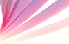 Pink | Line | Gradation --Background | Free material --Full HD size: 1,920 x 1,200 pixels