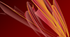 Red ｜ Carp ｜ Gradation --Background ｜ Free material ―― 4K size: 4,096 × 2,160 pixels