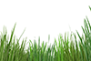 Weeds ｜ Plants ｜ Grass ｜ Green --Background ｜ Free material --Image size: 3,000 × 2,000 pixels