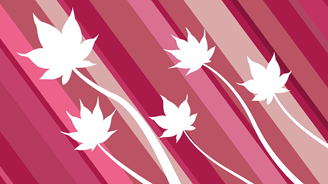 赤系｜桜｜パターン - バックグラウンド/写真/壁紙/デスクトップピクチャ/無料背景 - フルHDサイズ：1,920×1,080ピクセル