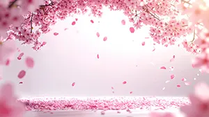 舞い散る桜の花びらと桜の枝が描かれた、ピンク色の春の背景イラスト